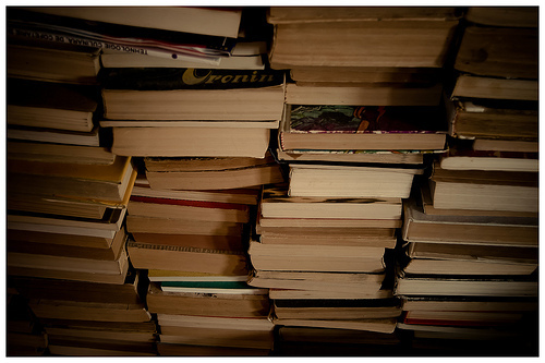 Stacks of books by Andrei.D40 via Flickr