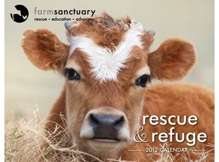 rescue and refuge