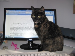 cat_with_computer