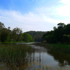 Audley Weir National Park Sydney, November 2011. Photo by Ace Bourke