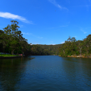 Audley Weir National Park Sydney, November 2011. Photo by Ace Bourke.