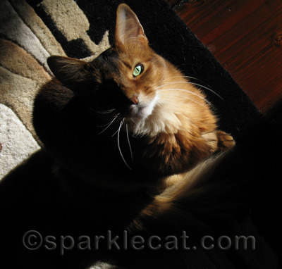 I'm a cover girl!
