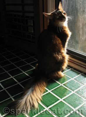 My over-the-shoulder pose