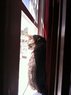 Digwindow