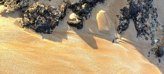 Shoreline Patterns by Rosa Say