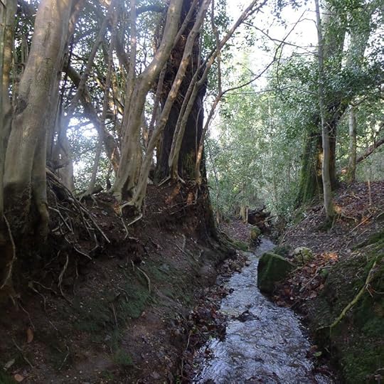 Stream 2