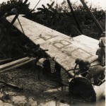 Kweilin - raising a wing 1