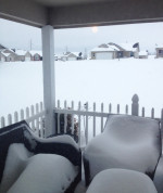 Snow 4 2-21-13