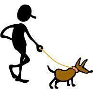 Post 15-walking dog