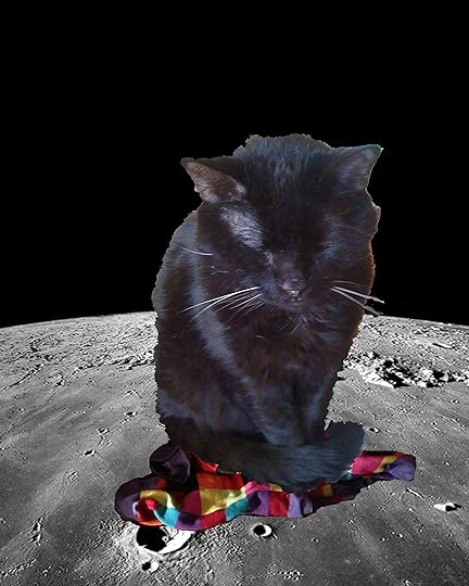 cats, cat on the moon, jesse sublett, noir writer, crime novelist, surrealist