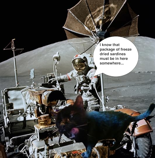 cats, cats on the moon, cats on youtube, jesse sublett, noir novelist, crime writer, hardboiled crime fiction, surrealist