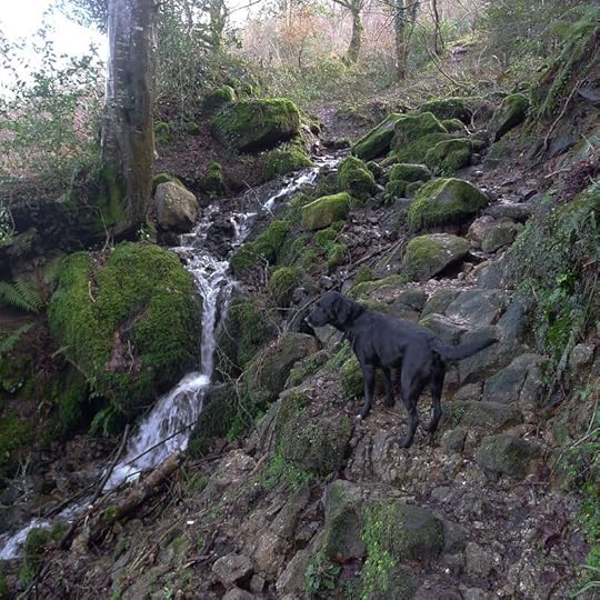 Waterfall 2