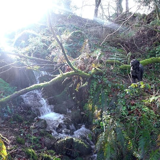 Waterall 6