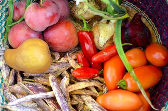 october-harvest-basket
