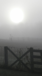 SAMSUNG DIGITAL CAMERA