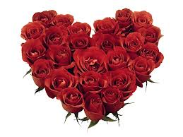 rose heart