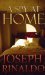A Spy at Home by Joseph Rinaldo