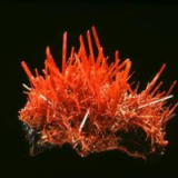 crocoite