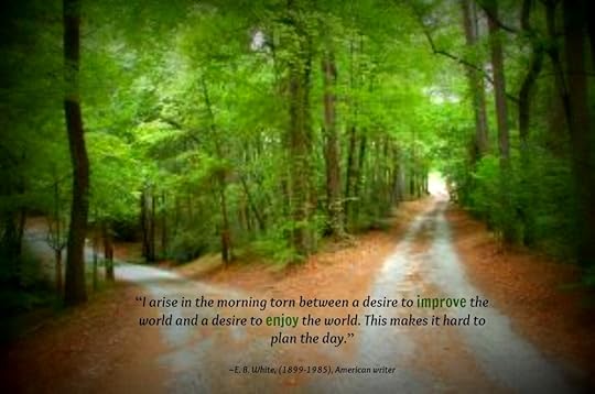 1208755_take_the_high_road EB White quote 10.14.13