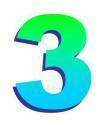 3