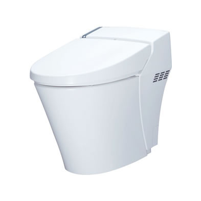 Smart Toilet