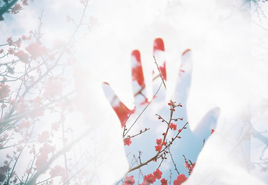 Post image for How to Help Other People Change Their Habits