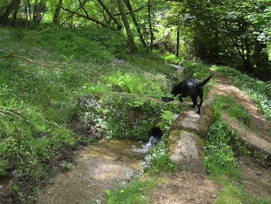 Over the leat 1