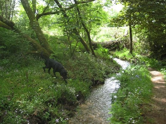 Over the leat 3b