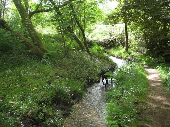 Over the leat 3