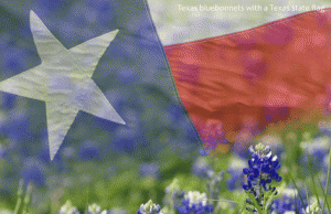 Texas flag and bluebonnets
