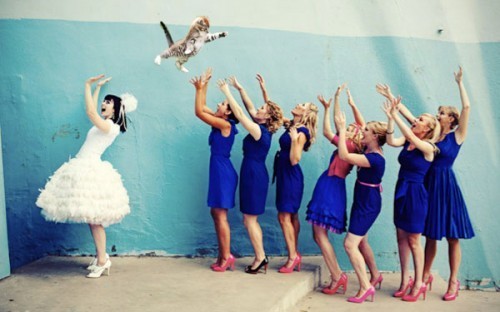 BrideCat 500x312 Fusenews: Thats what I get for ignoring copyright