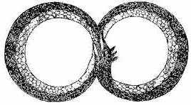 ouroboros