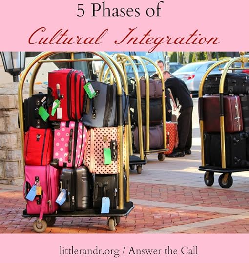 5 Phases of Cultural Integration 