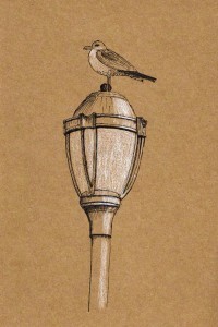 2013-10-04LamppostBird