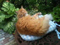 Blissed anytime, anywhere.