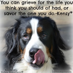 savor DSC1830 290x290 Woofisms: Woofs of Wisdom© funny dog blog