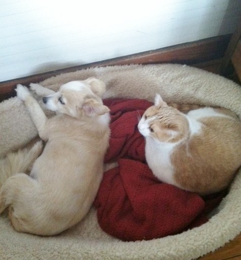 Getting along