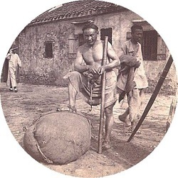 Picture