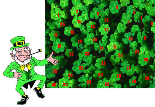 shamrocksbb copy