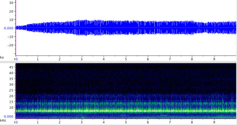 Sonogram of the Handsome trig (Phyllopalpus pulchellus); click here to listen to the recording.