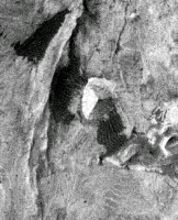 JUST WHAT THE HECK IS GOING ON WITH MARS, ANYWAY?