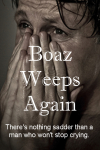 How my husband envisions Boaz's book.