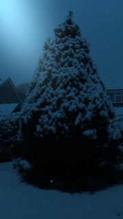 Winter in Sussex