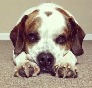 Rudy looking very cute!