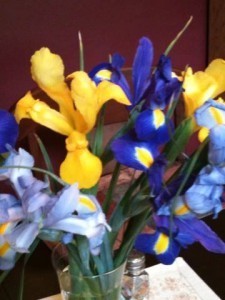 irises