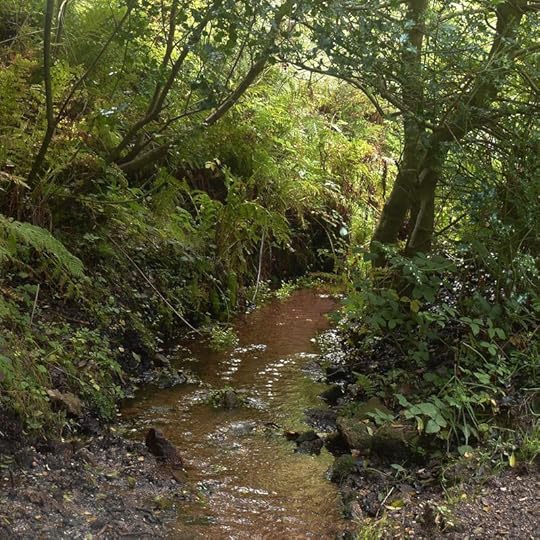 Water and stone