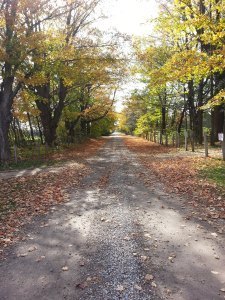 A Saugeen Lane - to remind me that I have to get moving toward my goal.