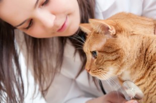 Veterinary_Technician_Week