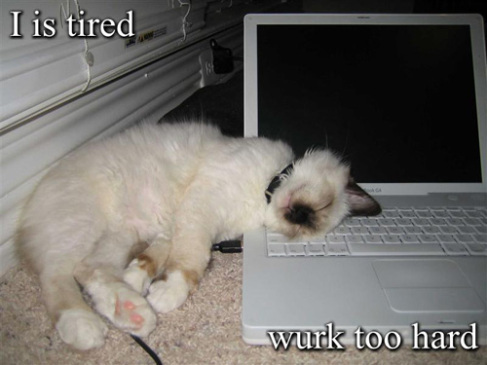http://www.relaxedpolitics.com/2009/11/iz-tired/