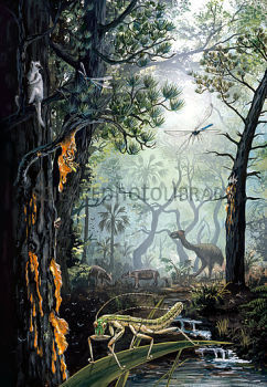 Eocene animals and plants, Baltic forest, crystal fakes